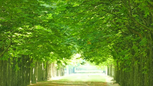 名称未設定プロジェクト 1