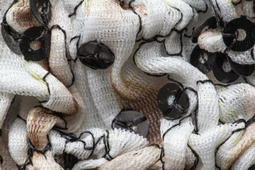 Gray pleated material, background. Macro, textured