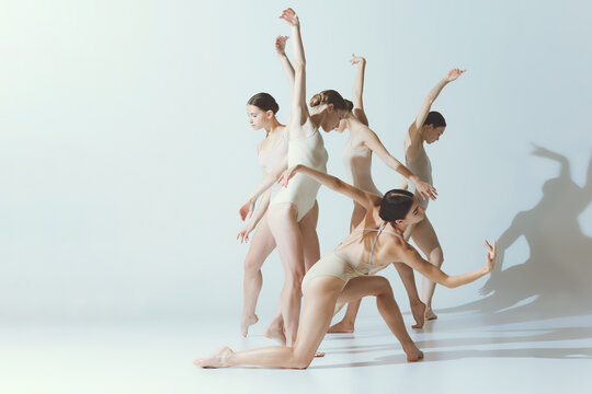 Group of five young women, ballerinas dancing, performing isolated over grey studio background. Tenderness, femininity