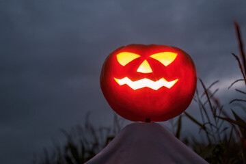 halloween pumpkin scarecrow in a wide corn field on a scary dark night.