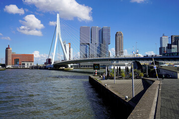 Rotterdamse skyline met Erasmusbrug en wolkenkrabbers, Nederland