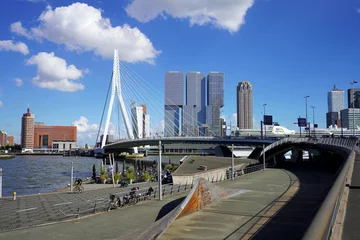 Fensteraufkleber Erasmusbrücke Skyline von Rotterdam mit Erasmusbrücke und Wolkenkratzern, Niederlande