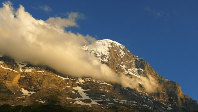 名称未設定プロジェクト 1