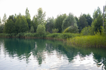 beautiful summer landscape with lake and trees