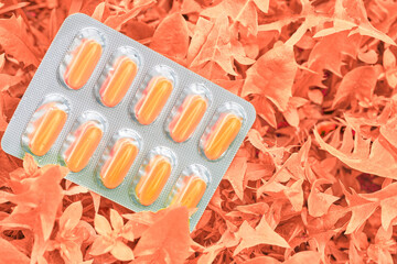 Light bister with orange pills on red orange foliage