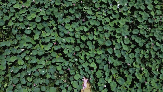 fashionable beautiful woman in a pink dress is lying on a boat in blooming lotuses in summer. drone point of view