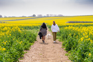 behind view of people walking in a field