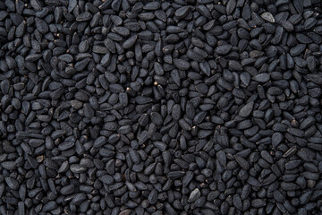 Black cumin macro texture. Whole nigella seeds closeup background. Dry kalonji fruits for food...