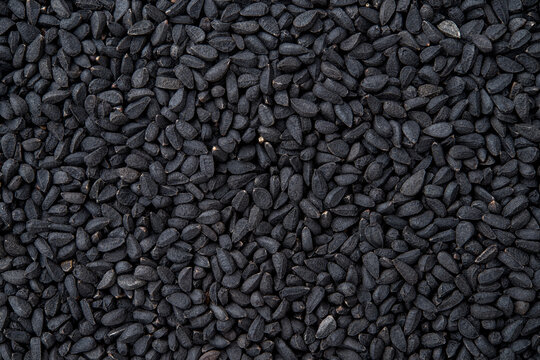 Black cumin macro texture. Whole nigella seeds closeup background. Dry kalonji fruits for food design and cooking. Concept of organic spice and seasoning. Medicinal herb nigella sativa.