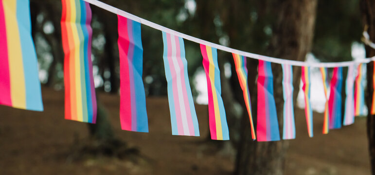 Pride flag: variety of lgbtq flags including rainbow homosexual flag, bisexual, pansexual, transgender