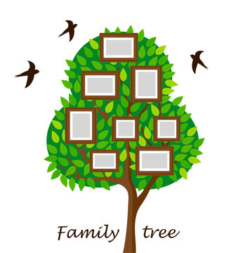 Family tree vector illustration. With frames for portraits of family members.