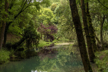 Fototapeta na wymiar Source of the Ebro river in Fontibre, Cantabria, Spain.