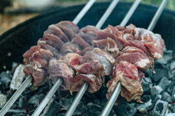 Barbecue outdoor close-up. BBQ food party summer grilling meat. Barbecue on a stick