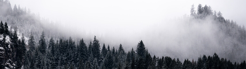 Amazing mystical rising fog sky forest snow snowy trees landscape snowscape in black forest (...