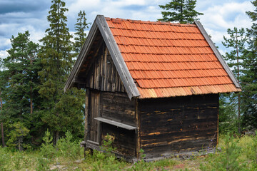 Fototapeta na wymiar Wooden mountain cottage on Zlatibor