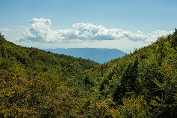 landscape with sky in the mountain