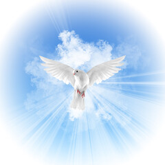 Plakat Holy Spirit Ghost Baptism Dove Falling from Sky Clouds Illustration