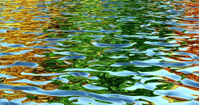 For&ecirc;t automnale se refl&eacute;tant dans les vagues d'un lac. Vid&eacute;o en boucle. Rendu 3D