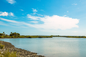 Landscape with lake