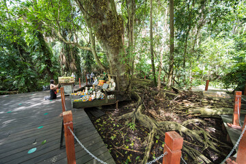 Wat Kham Chanot in the province udon thani, isaan thailand.
it is a beautiful and popular buddhist...