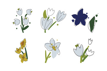 Set of vector hand painted flowers and leaves