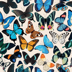 Obraz na płótnie Canvas Vector pattern with high detailed tropic butterfly