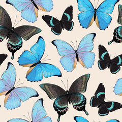 Vector pattern with high detailed tropic butterfly - 533627446