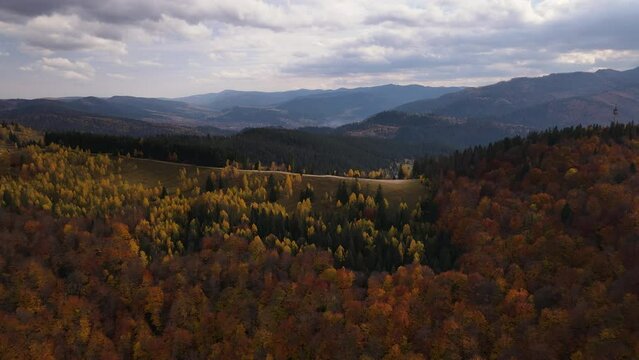 Aerial panoramic view of the scenic and colorful mountains and forests in Carpathian, drone orbiting shot over clearing with yellowed autumn colored trees
