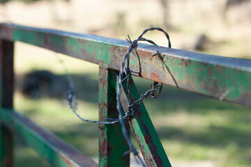 barbed wire fence in the foreground