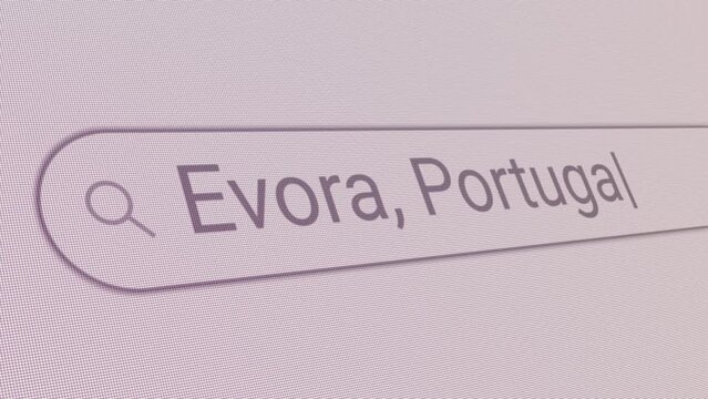 Search Bar Evora Portugal 
Close Up Single Line Typing Text Box Layout Web Database Browser Engine Concept