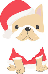 cute french bulldog puppy in christmas costume