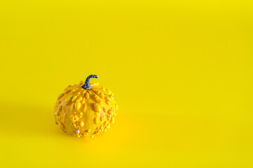 a yellow gourd on a yellow background