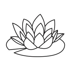 Lotus line icon vector flower symbol