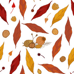Obraz premium Autumn botanical seamless pattern of red and yellow dry leaves and berries. Hand drawn vector illustration of autumn view