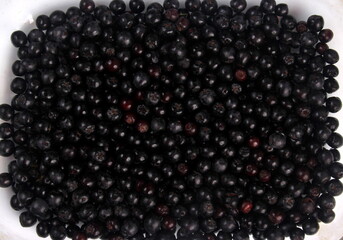 Background of fresh black chokeberry. Black aronia, black berry background