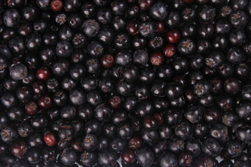 Background of fresh black chokeberry. Black aronia, black berry background