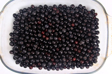 Background of fresh black chokeberry. Black aronia, black berry background