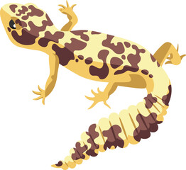 Exotic gecko Reptile Amphibian illustration