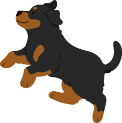Simple and adorable Rottweiler dog illustration jumping flat colored