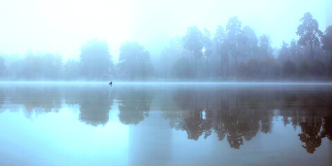 misty morning on the lake