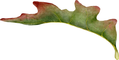 Autumn Leaves Watercolor