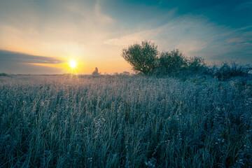 Cold autumn morning on a high grass meadow with rime on the ground and plants. Frosty sunrise background. Hoarfrost on the high grass.