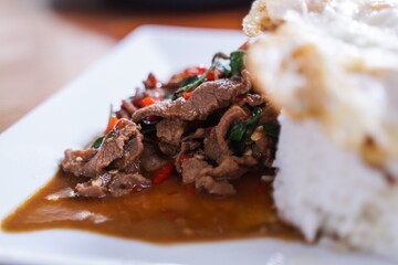 Stir fried beef with basil with fried egg on white plate  It's a simple a la carte.  that Thai people are very popular.