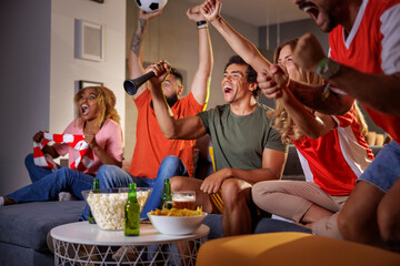 Football fans watching the game on TV and cheering