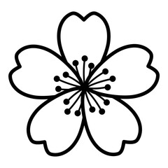 Cherry blossom flower outline illustration © KY