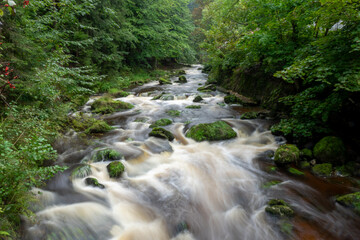 mountain creek flowing in autumn