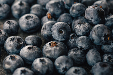 Wet ripe blueberries close up, macro shot.