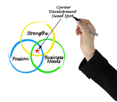 Sweet Spot Of Career Development