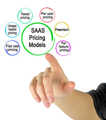 Six  Models of SAAS Pricing