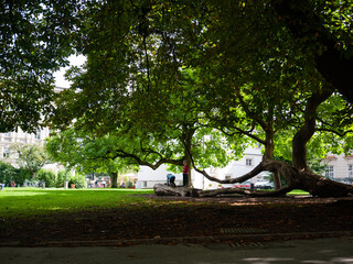 Children playing in the park